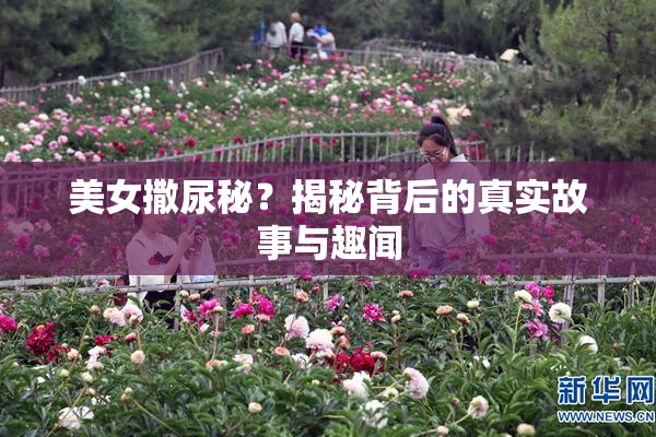 美女撒尿秘？揭秘背后的真实故事与趣闻