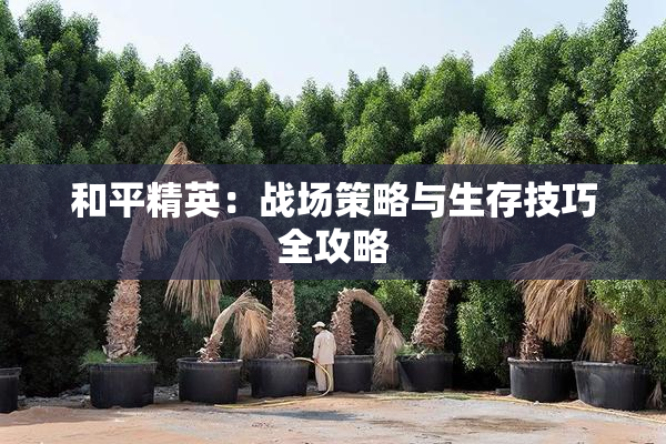 和平精英：战场策略与生存技巧全攻略