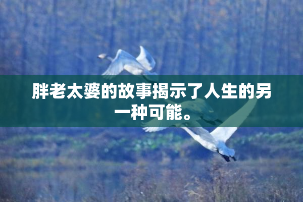 胖老太婆的故事揭示了人生的另一种可能。