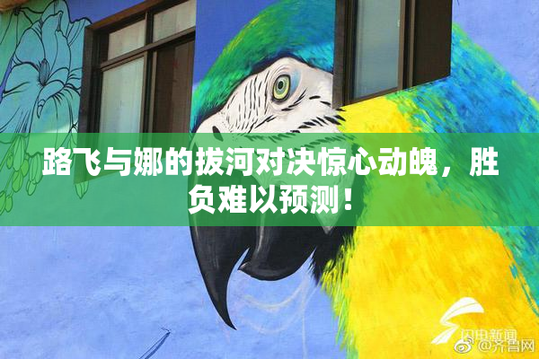 路飞与娜的拔河对决惊心动魄，胜负难以预测！