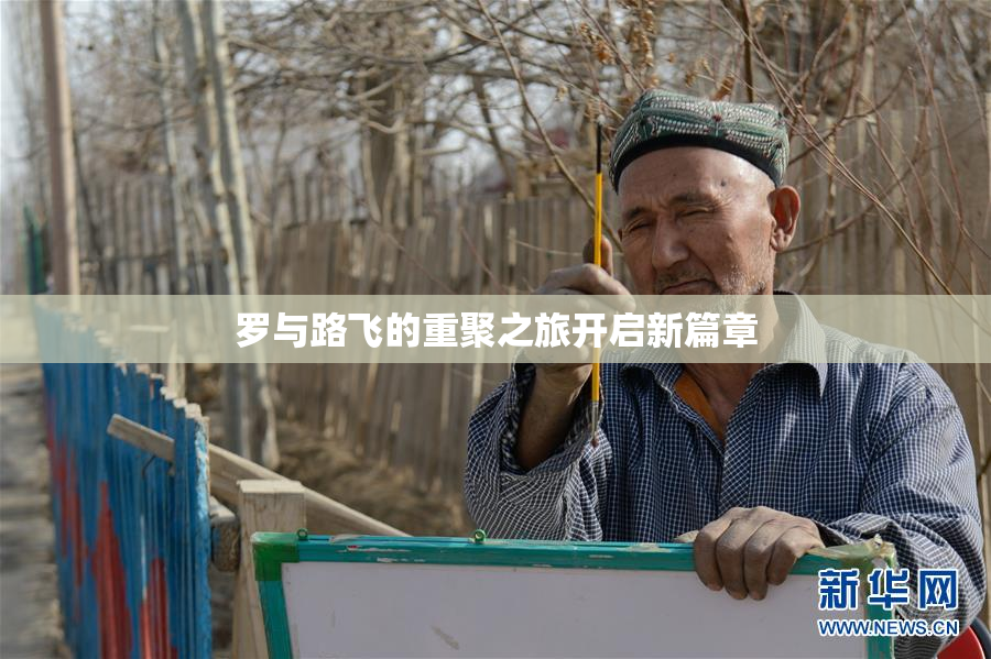 罗与路飞的重聚之旅开启新篇章
