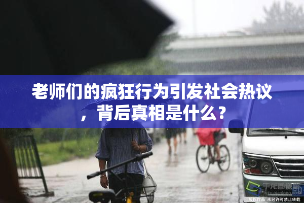 老师们的疯狂行为引发社会热议，背后真相是什么？
