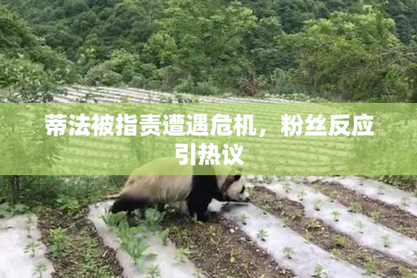 蒂法被指责遭遇危机，粉丝反应引热议
