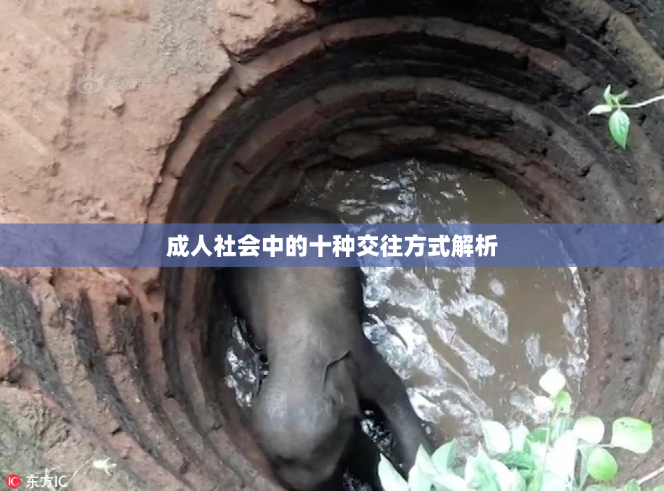 成人社会中的十种交往方式解析