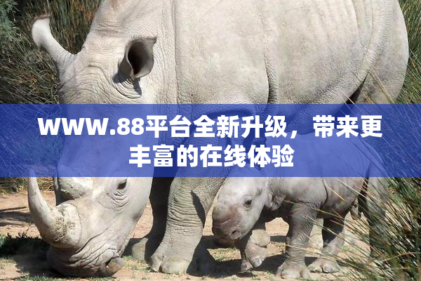 WWW.88平台全新升级，带来更丰富的在线体验