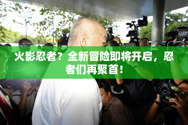 火影忍者？全新冒险即将开启，忍者们再聚首！