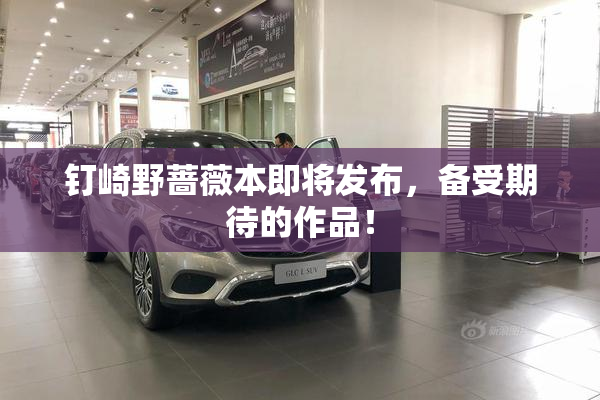 钉崎野蔷薇本即将发布，备受期待的作品！