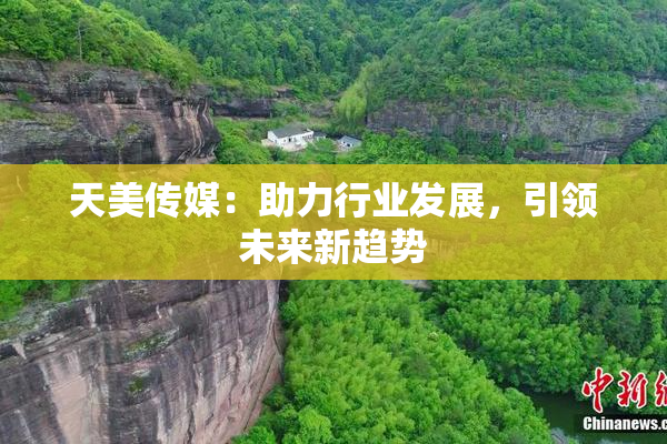 天美传媒：助力行业发展，引领未来新趋势