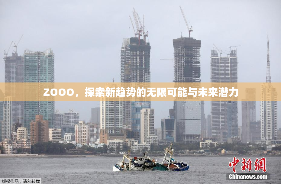 ZOOO，探索新趋势的无限可能与未来潜力
