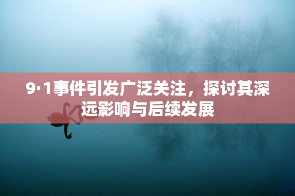 9·1事件引发广泛关注，探讨其深远影响与后续发展