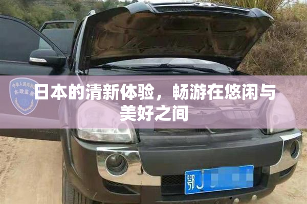 日本的清新体验，畅游在悠闲与美好之间