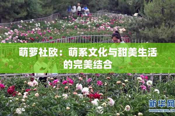 萌萝社欧：萌系文化与甜美生活的完美结合