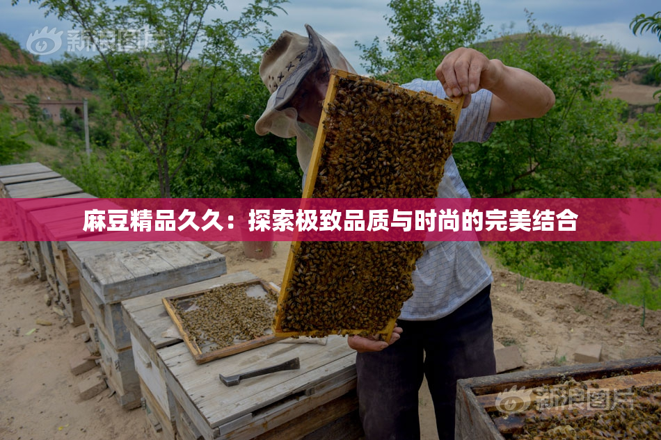 麻豆精品久久：探索极致品质与时尚的完美结合