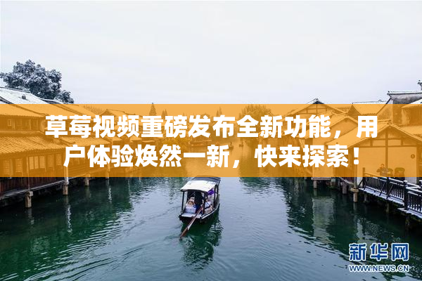 草莓视频重磅发布全新功能，用户体验焕然一新，快来探索！
