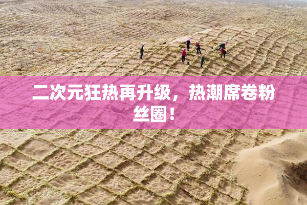 二次元狂热再升级，热潮席卷粉丝圈！
