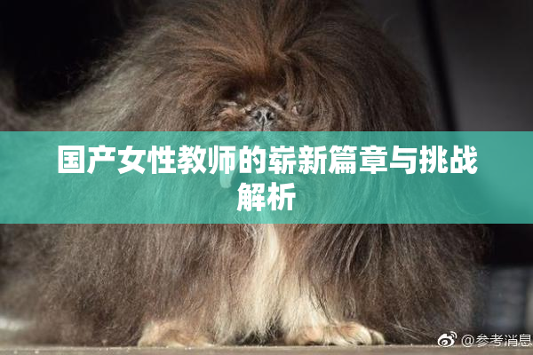 国产女性教师的崭新篇章与挑战解析