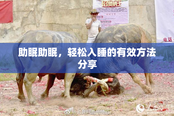 助眠助眠，轻松入睡的有效方法分享