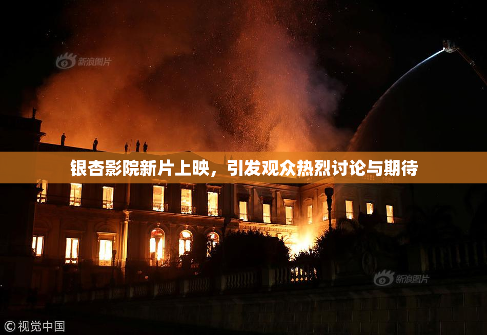 银杏影院新片上映，引发观众热烈讨论与期待