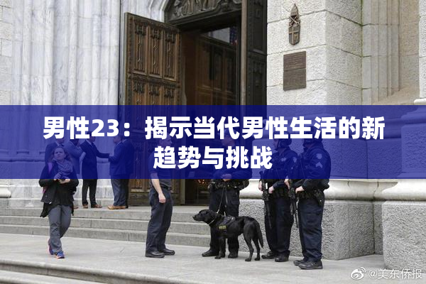 男性23：揭示当代男性生活的新趋势与挑战