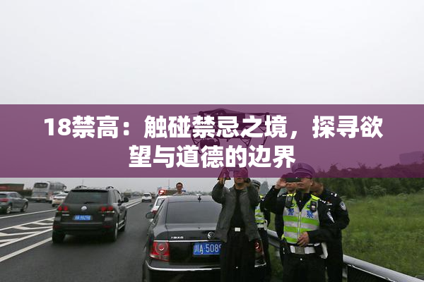 18禁高：触碰禁忌之境，探寻欲望与道德的边界