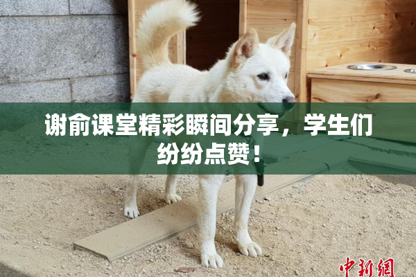 谢俞课堂精彩瞬间分享，学生们纷纷点赞！