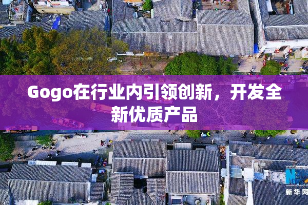 Gogo在行业内引领创新，开发全新优质产品