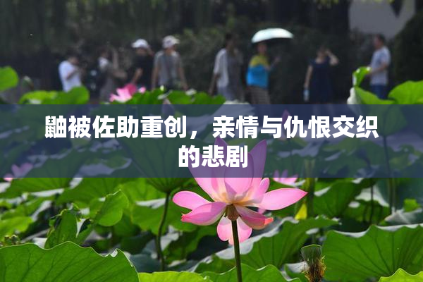鼬被佐助重创，亲情与仇恨交织的悲剧