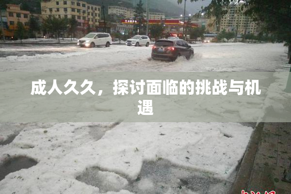 成人久久，探讨面临的挑战与机遇
