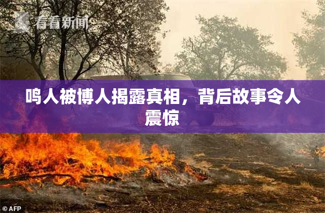 鸣人被博人揭露真相，背后故事令人震惊