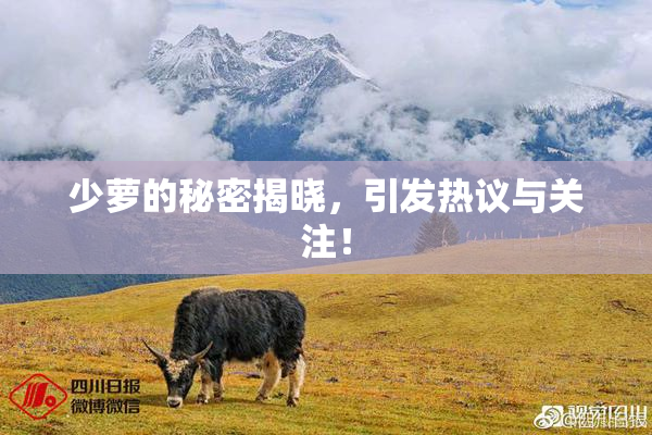 少萝的秘密揭晓，引发热议与关注！