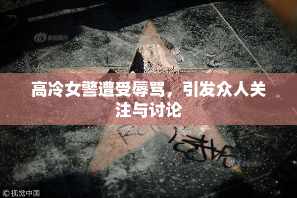 高冷女警遭受辱骂，引发众人关注与讨论