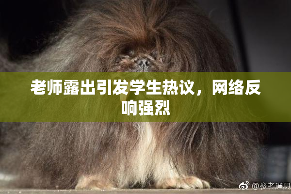 老师露出引发学生热议，网络反响强烈