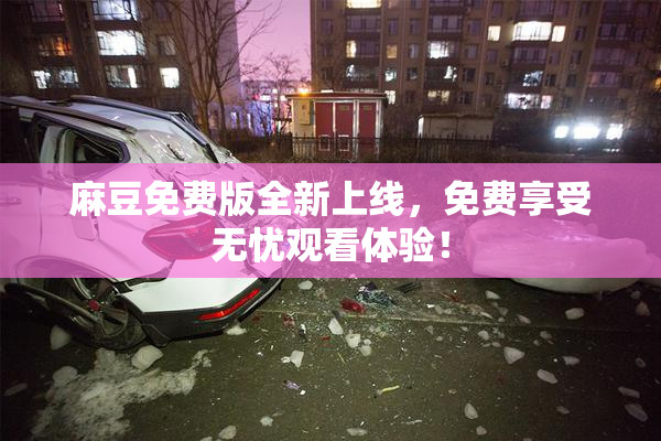 麻豆免费版全新上线，免费享受无忧观看体验！