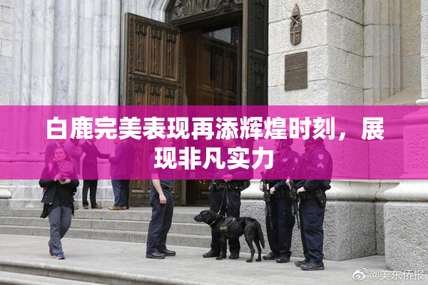 白鹿完美表现再添辉煌时刻，展现非凡实力