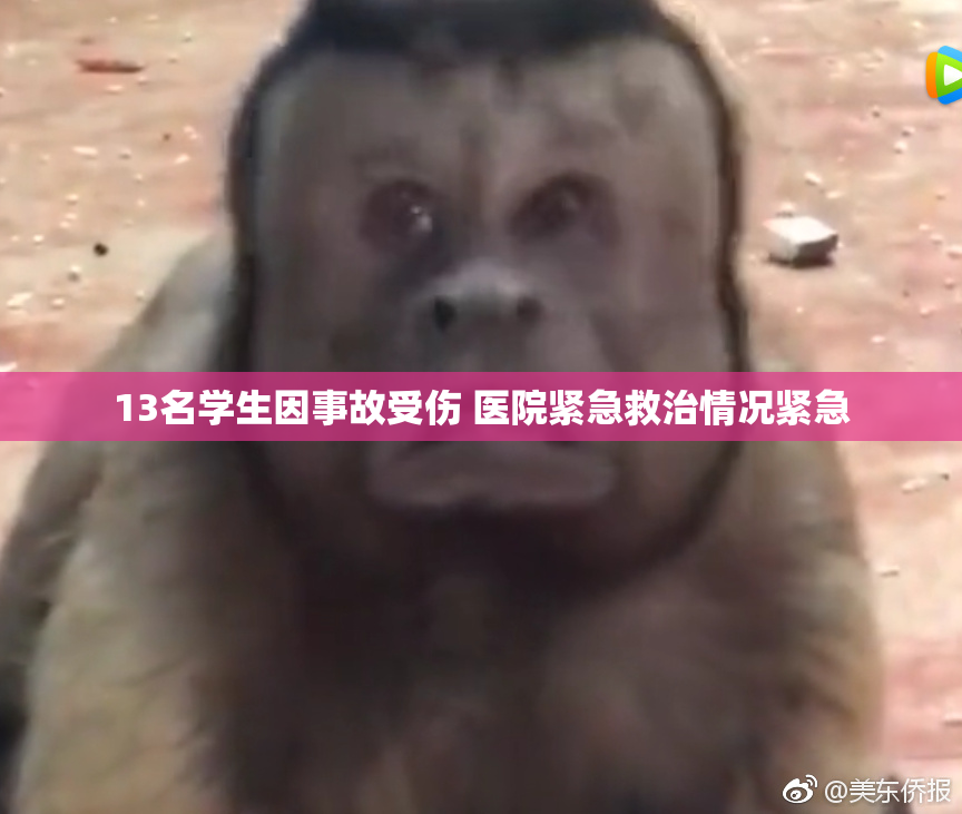 13名学生因事故受伤 医院紧急救治情况紧急