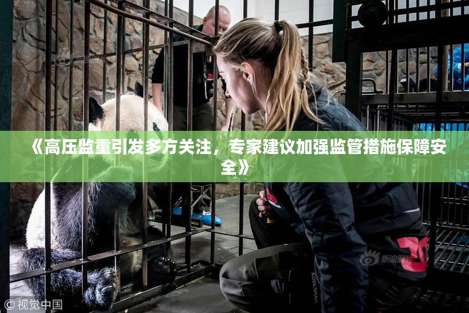 《高压监重引发多方关注，专家建议加强监管措施保障安全》