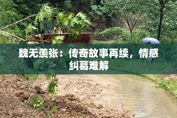 魏无羡张：传奇故事再续，情感纠葛难解