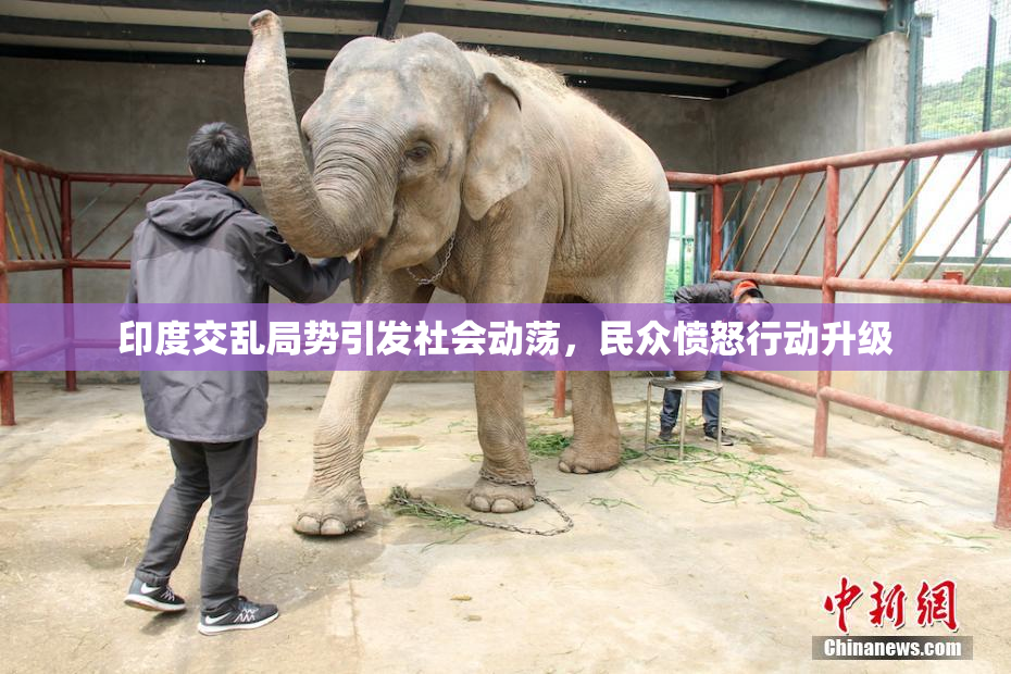 印度交乱局势引发社会动荡，民众愤怒行动升级