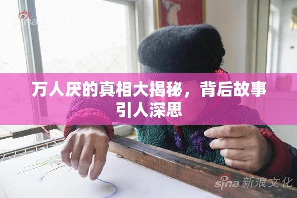 万人厌的真相大揭秘，背后故事引人深思