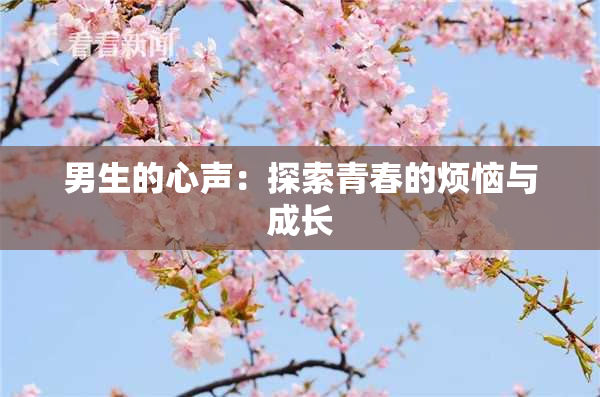 男生的心声：探索青春的烦恼与成长