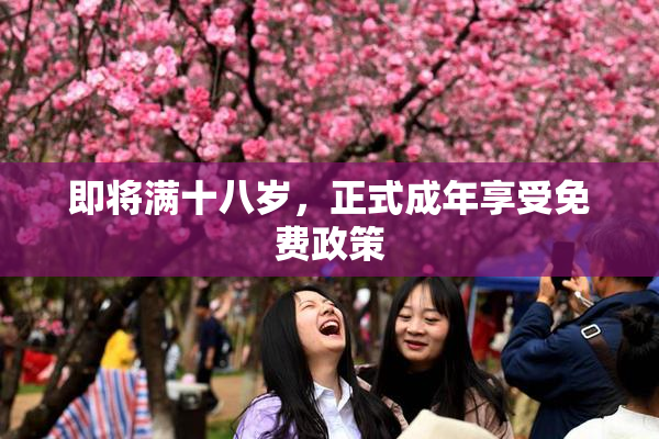 即将满十八岁，正式成年享受免费政策