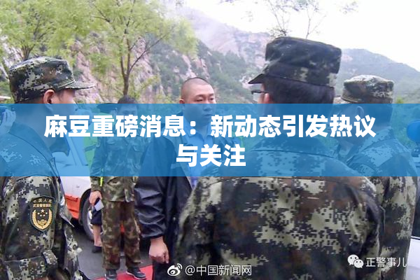麻豆重磅消息：新动态引发热议与关注
