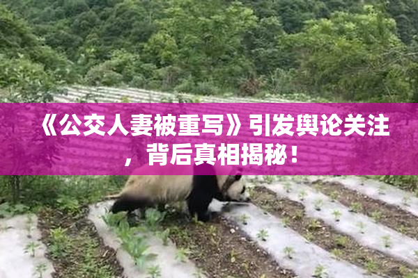 《公交人妻被重写》引发舆论关注，背后真相揭秘！
