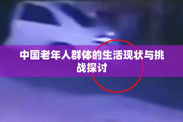 中国老年人群体的生活现状与挑战探讨
