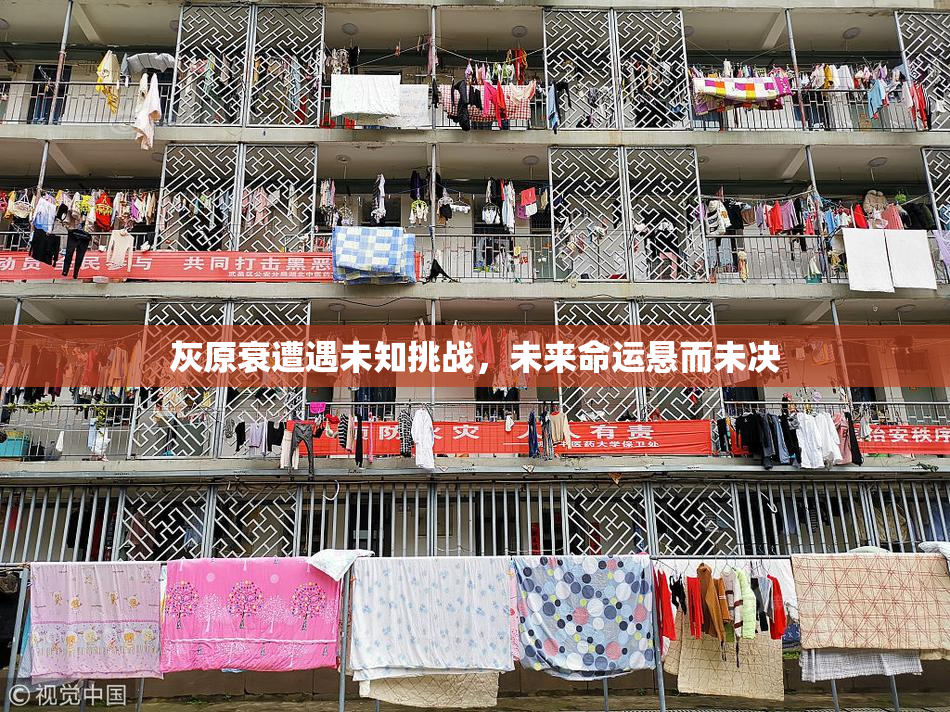 灰原衰遭遇未知挑战，未来命运悬而未决