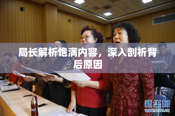 局长解析饱满内容，深入剖析背后原因