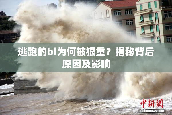 逃跑的bl为何被狠重？揭秘背后原因及影响