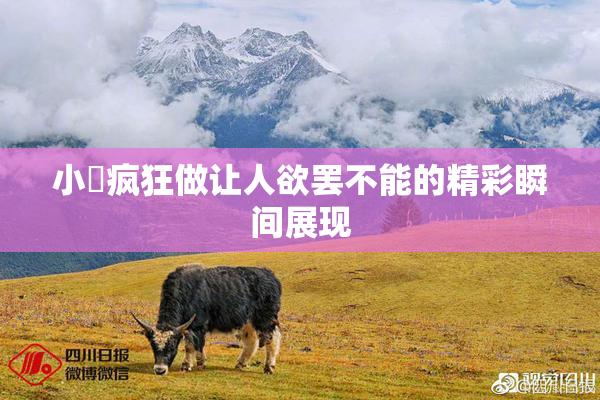 小泬疯狂做让人欲罢不能的精彩瞬间展现