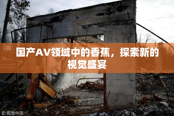 国产AV领域中的香蕉，探索新的视觉盛宴