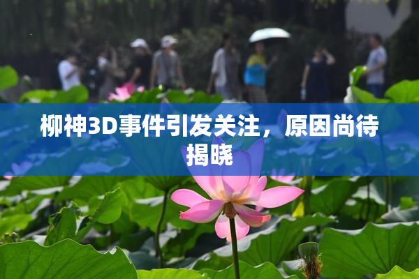 柳神3D事件引发关注，原因尚待揭晓